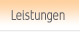 Leistungen