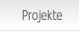 Projekte