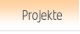 Projekte